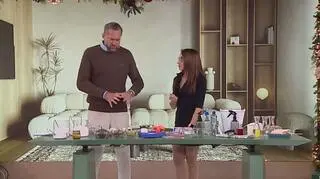 Jak walczyć ze szkodnikami zimą? Ekspertka podzieliła się sprawdzonymi sposobami  