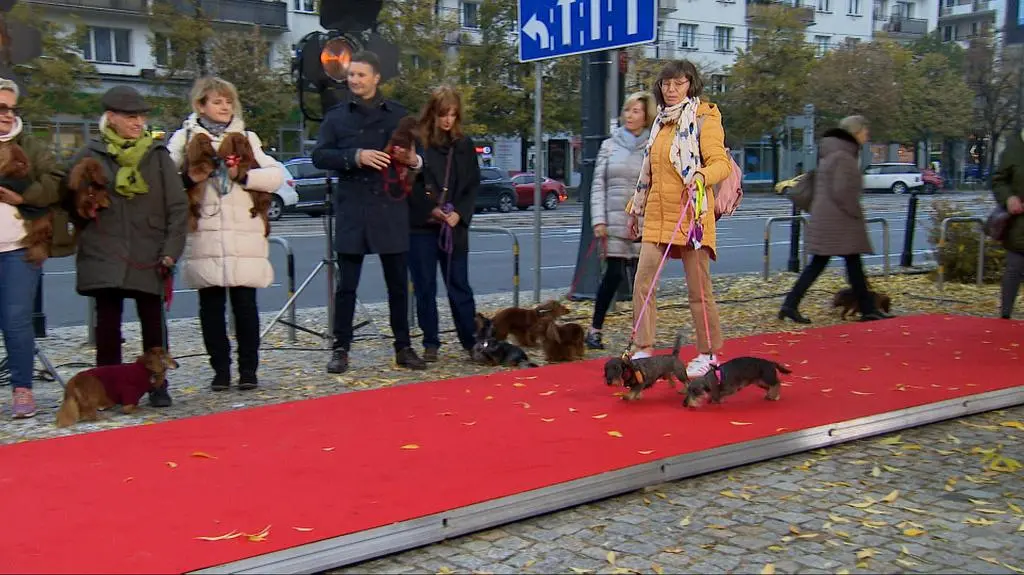 jamnik