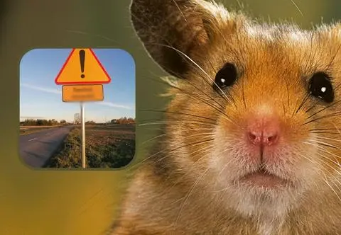 Na polskich drogach pojawił się nowy znak. Co przedstawia?