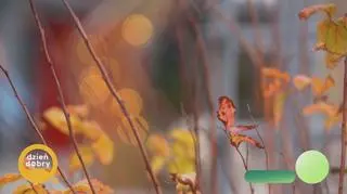 Najbardziej nietrafiony prezent w twoim życiu - napisy