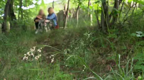Jak wygląda podróż pociągiem do Chorwacji?