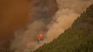 Płoną lasy na turystycznej wyspie. Konieczna była ewakuacja