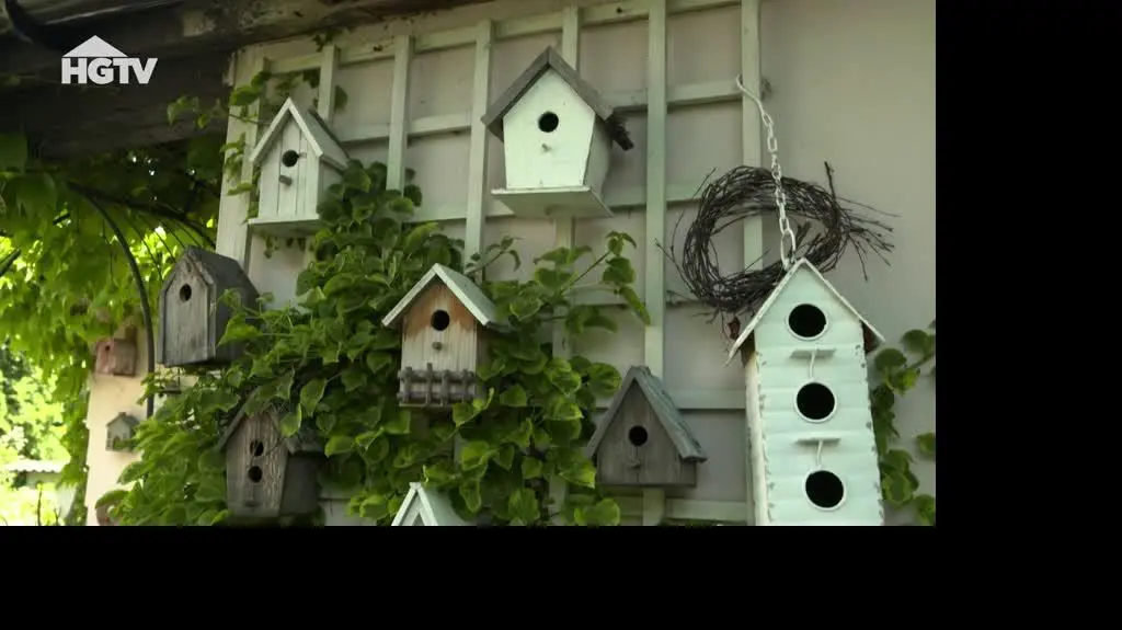 20240927_HGTV_NMWO_Ptaki_Szklarnia