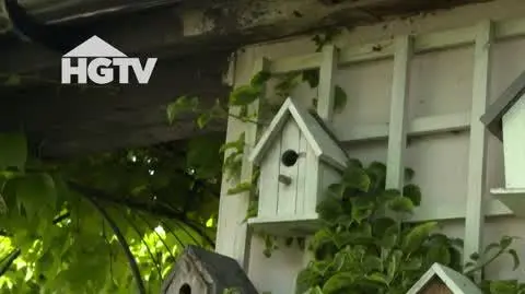 20240927_HGTV_NMWO_Ptaki_Szklarnia