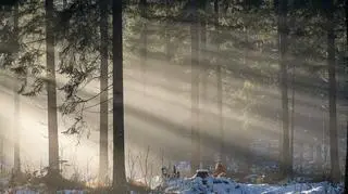 Pogoda na piątek. Gdzie będzie padać śnieg?