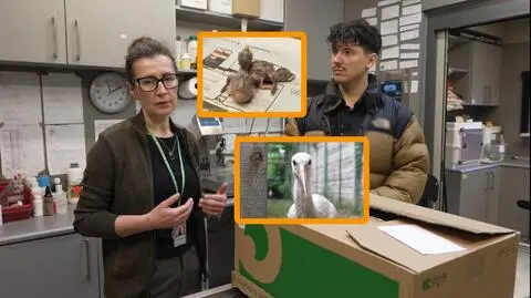 Ptasi azyl w warszawskim zoo