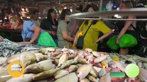 DD_20240928_Glowaccy_rep_REP