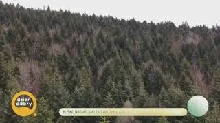 Blisko natury, daleko od cywilizacji - napisy