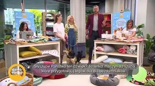 Akcja z rana – zbieramy zwierzęce posłania - napisy