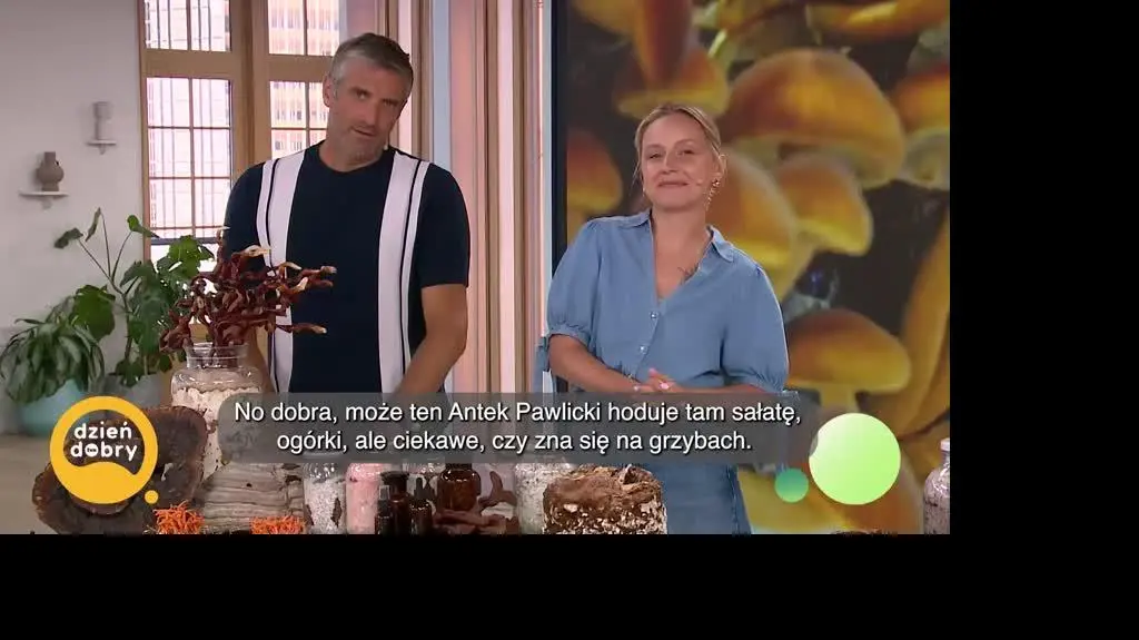 DD_20250819_Grzyby_napisy