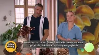 Hodowla grzybów w kuchni, piwnicy i na balkonie - napisy