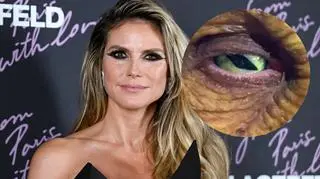 Heidi Klum znów zaskoczyła strojem na Halloween