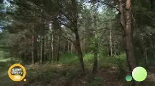 W tym domu nie boją się kolorów (napisy)