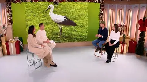 Dlaczego niektóre bociany zostają u nas na zimę? 