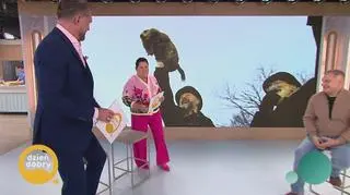 Czy świstak amerykański naprawdę wie, kiedy przyjdzie wiosna?