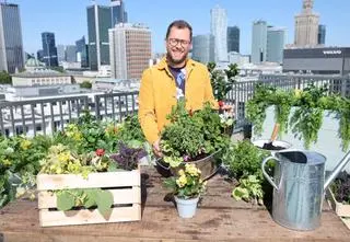 Jadalny ogród na twoim balkonie. Które rośliny sprawdzą się w cieniu, a które w słońcu?