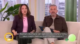 Spała w zmywarce, ukradła portfel - życie z fretką – napisy