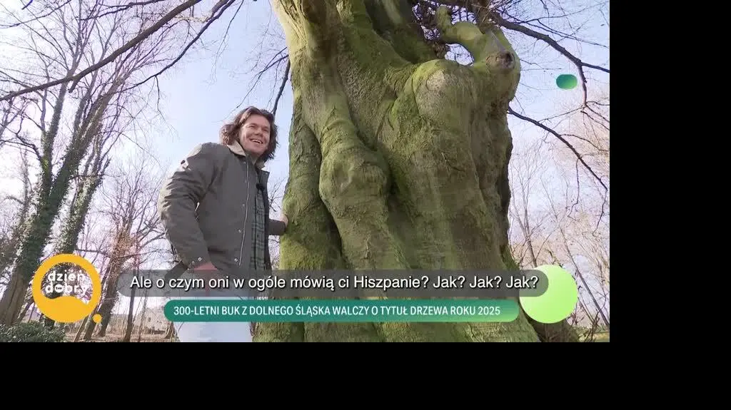DD_20250224_Drzewo_live_REP_napisy