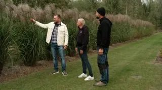 Te rośliny upiększą twój ogród. "Nie chorują i nie mają szkodników" 