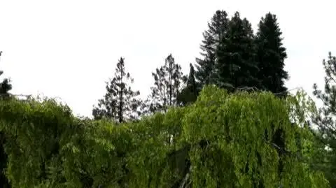 DD_20250628_Pogoda