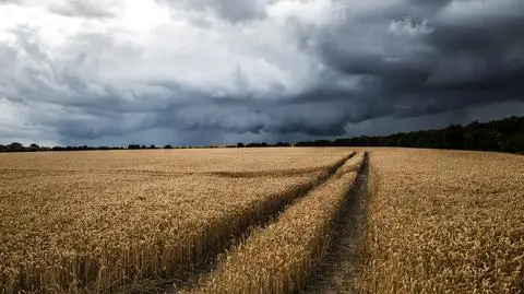 Pogoda na jutro. Czeka nas kolejny niespokojny, burzowy dzień