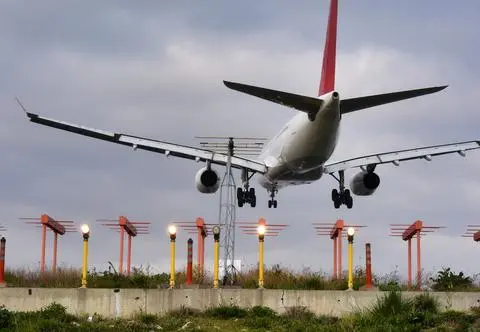 Pluskwy zaczęły wypadać z sufitu w samolocie. Pasażerowie przeżyli piekło