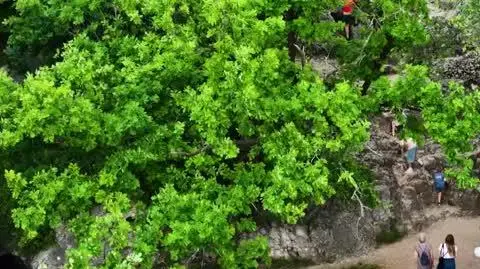 DD_20250610_Smoki_rep_napisy