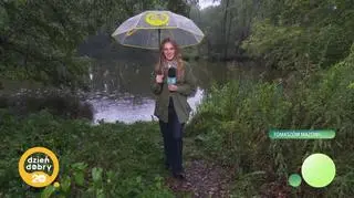 Pogoda na niedzielę