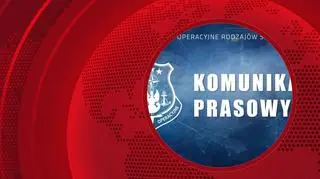 Wielokrotne naruszenie polskiej przestrzeni powietrznej. Są komunikaty 