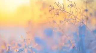 Pogoda na wtorek. Siarczysty mróz nie ustępuje. Gdzie będzie najzimniej?