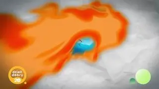 20 niezapomnianych: gwiazdy w “Dzień Dobry TVN” – napisy