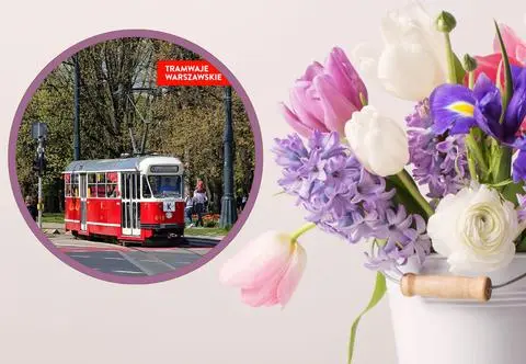 Świąteczny tramwaj na Dzień Kobiet. "Wyrusza w trasę tylko przy ważnych okazjach"