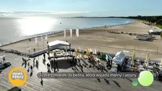 Gofry najlepiej smakują nad morzem  – napisy