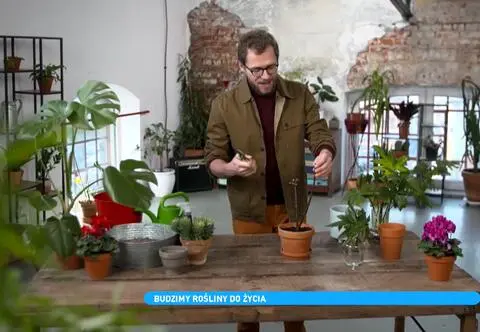 "Co z tego wyrośnie". Jak obudzić rośliny na wiosnę?