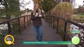 Pogoda na dziś