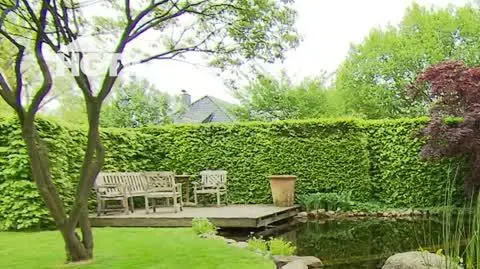 20250120_HGTV_NMWO_Wodne_utoczysko