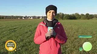Pogoda na dziś - Lecimy nie śpimy 