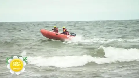 DD_20240713_PP_WOPR_REP