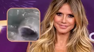 Kostiumy Heidi Klum są hitem każdego Halloween. Czym  zaskoczy w tym roku? "Nabiera kształtu" 