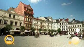 Śladami kociej szajki z Agatą Romaniuk