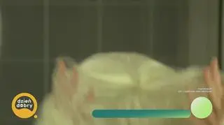 Ania Dąbrowska świętuje muzyczny jubileusz 