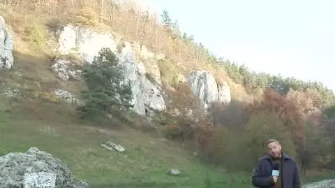 DD_20251102_Pogoda