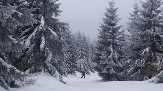 Czy warto pracować w zimie w opiece seniora w Niemczech?