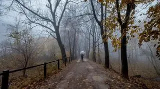 Pogoda na poniedziałek. Tydzień zaczniemy od ocieplenia