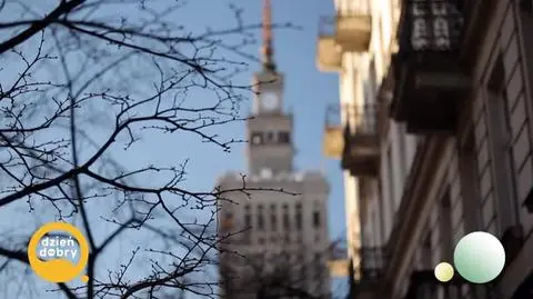 DD_20250325_Jungle_rep_REP