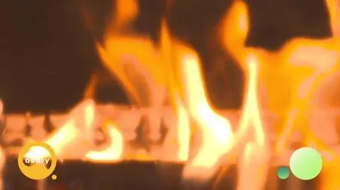 DD_20250121_Biokominek_rep_REP