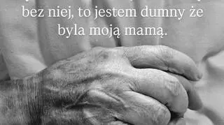 InstaStory Wojciecha Janika