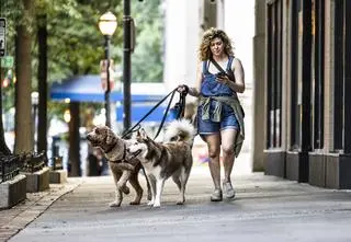 Ten kraj zaostrza zakaz wyprowadzania psów na ulice. "Formy cichego buntu"