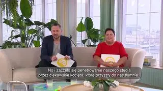 Koty devon rex i ich terapeutyczne zdolności - napisy