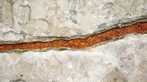 Czy żyła wodna naprawdę ma wpływ na zdrowie? 